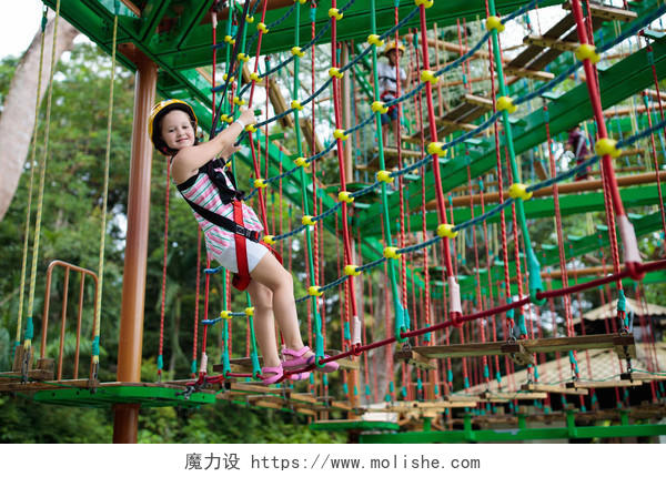 森林探险公园里的孩子们爬上高绳